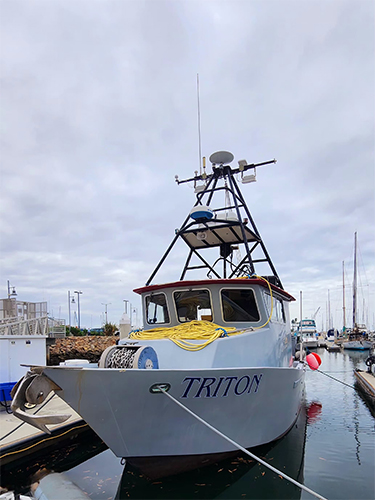 Triton