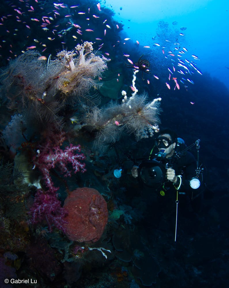 Forgotten Islands to Triton Bay: “Journey Through the Banda Sea to West Papua, Indonesia” Diving and Eco Expedition 2027